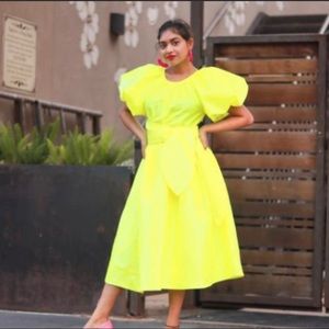 NWT Christopher John Rogers- Puff sleeve Dress